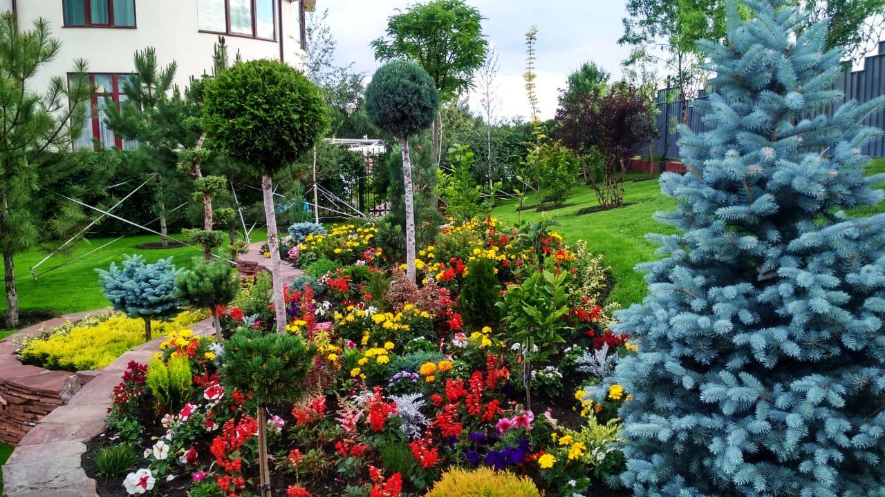 Тендер на посадку декоративных деревьев и кустарников в Алматы