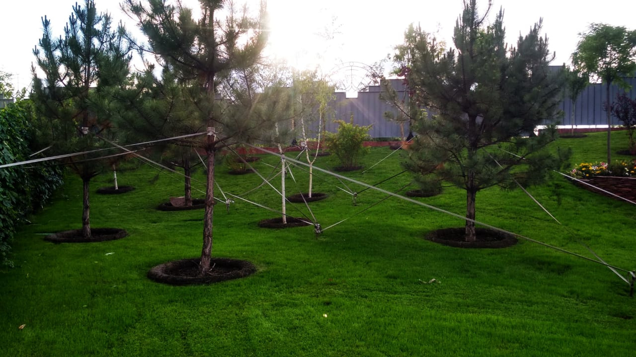 Тендер по озеленению территории больницы в городе Алматы