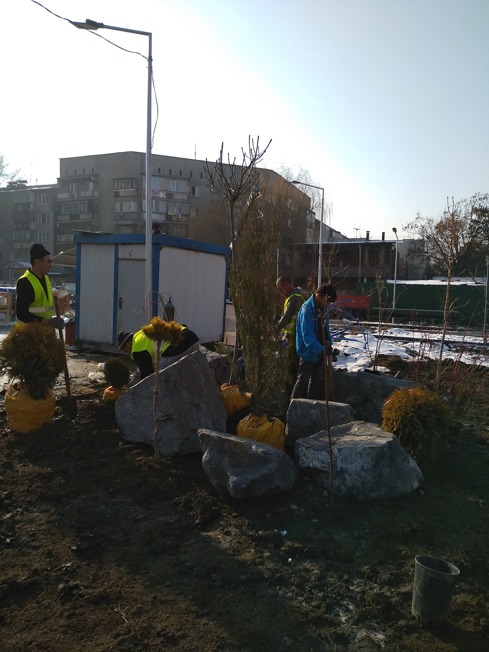 Высадка и посадка деревьев в Алматы